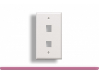 WALL PLATE 2PORT