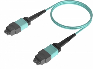 MM OM4 50/125(MTP-MTP 12C)